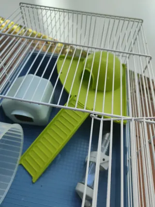 Jaula para mascotas azul y verde