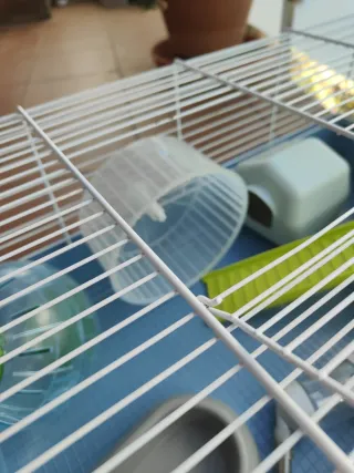 Jaula para mascotas azul y verde