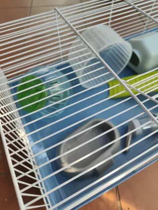 Jaula para mascotas azul y verde
