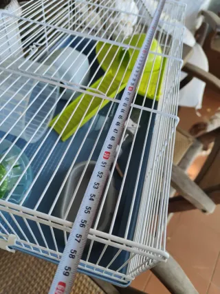 Jaula para mascotas azul y verde