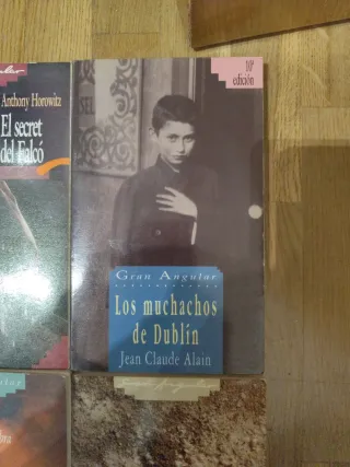 Literatura juvenil