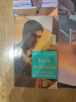 Literatura juvenil