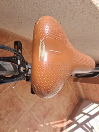 Bicicleta Plegable Negra