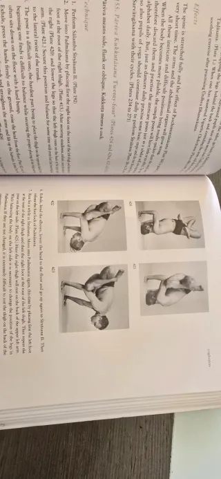 Light On Yoga. The Definitive Guide To Yoga Pra...