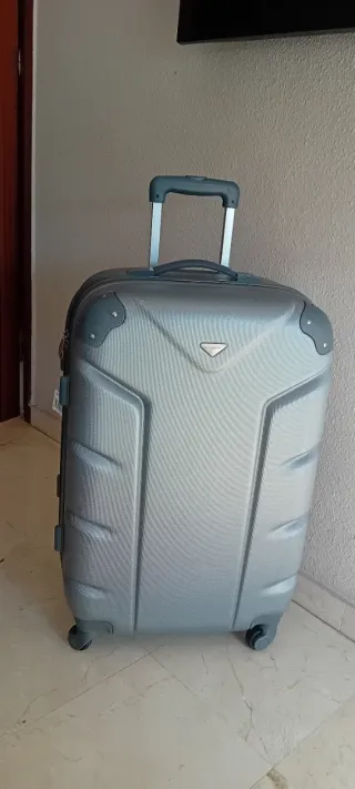 Maleta gris con ruedas y asa extensible