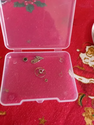 Reloj Donax Automático