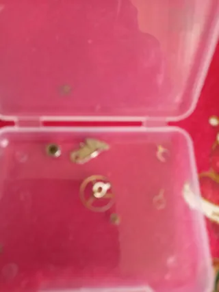 Reloj Donax Automático