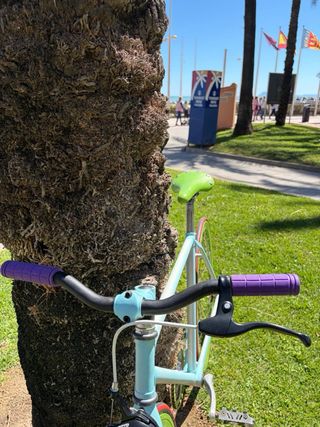 Bicicleta Fixie Azul y Verde Talla M