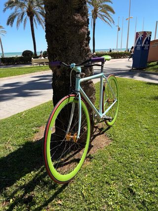 Bicicleta Fixie Azul y Verde Talla M