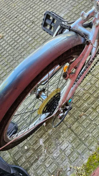 Bicicletas
