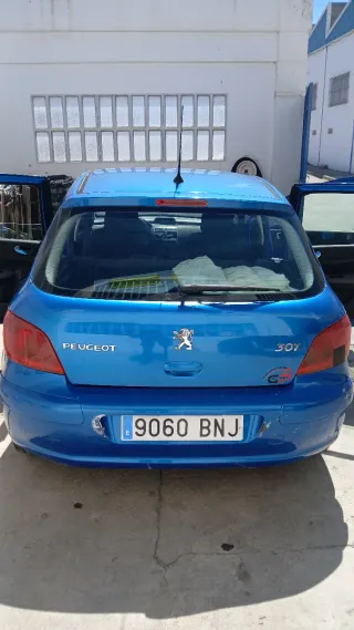 Peugeot 307 2002