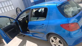 Peugeot 307 2002