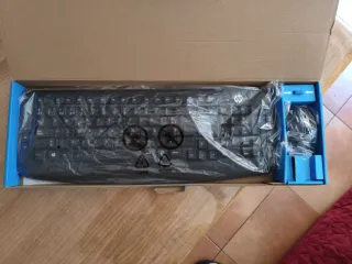 Combo Teclado y Ratón Inalámbrico HP 300