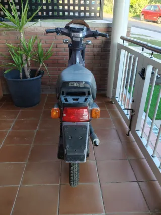 Derbi Variant