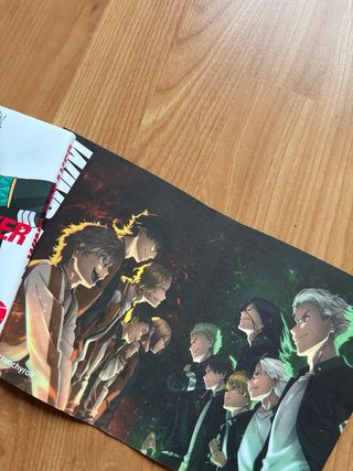 Mangas variados