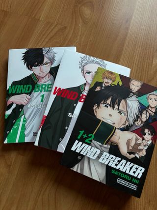 Mangas variados