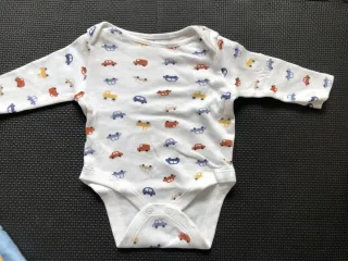 Lote Ropa Bebé Niña/Niño 0-3