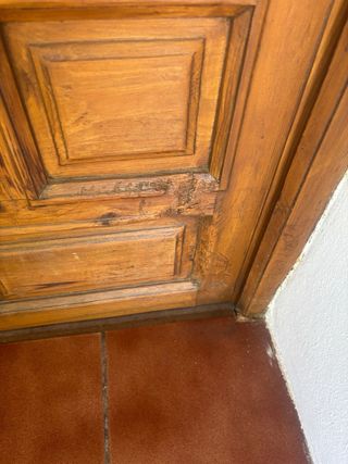 Puerta madera exterior 198x79cm