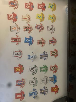 Imanes Mega Futbol La Liga 2008/09 y su album.