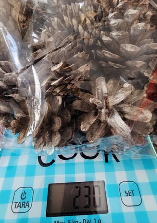 Piñas naturales decorativas para centro de mesa