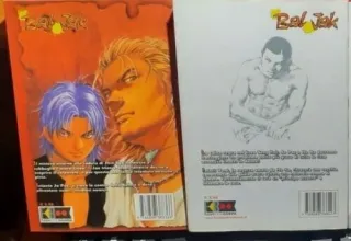 Lotto 18 Fumetti manga coreani manhwa vintage 2005