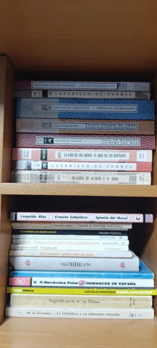 Libros de lectura