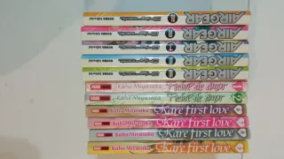 libros de manga japonés