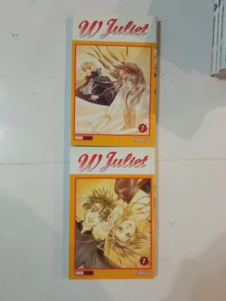 libros de manga japonés