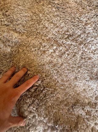 Alfombra