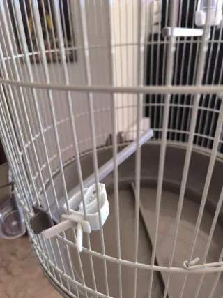 Jaula para pájaros con pie