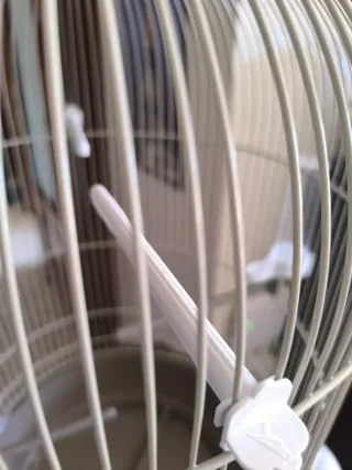 Jaula para pájaros con pie