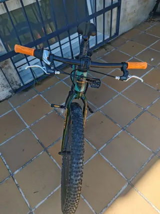 Bicicleta Scott Roxtter 24