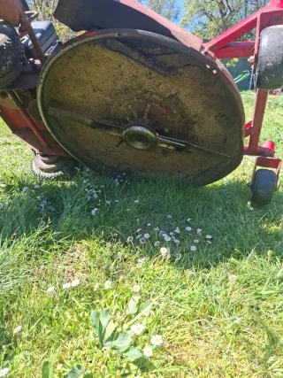 Segadora cortacesped  Toro Profesional