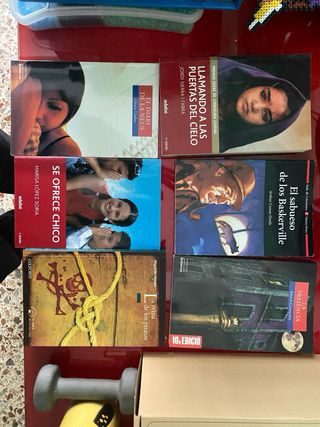 Lote de Libros