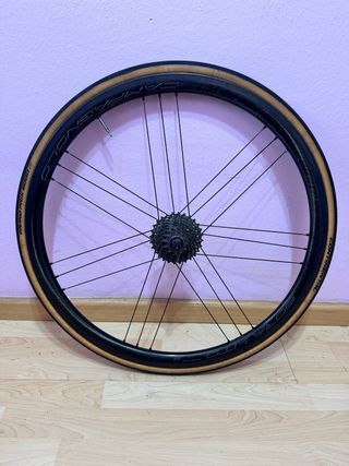 Ruedas Campagnolo WTO 33 19