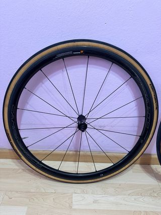 Ruedas Campagnolo WTO 33 19
