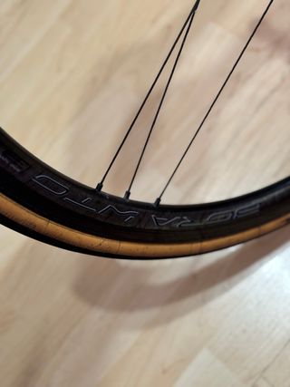 Ruedas Campagnolo WTO 33 19
