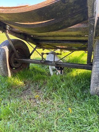 Carro antiguo de madera y metal