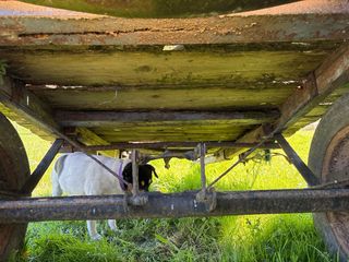 Carro antiguo de madera y metal
