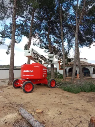 Jardinero