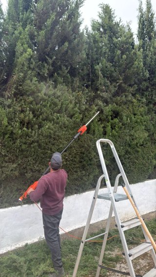 Jardinero