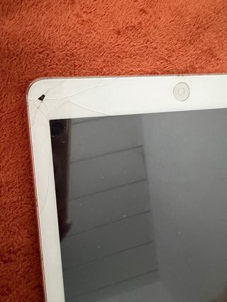 Apple iPad Air Plata/Blanco