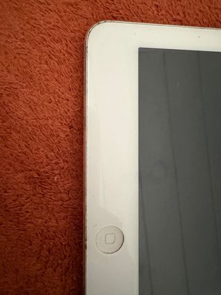 Apple iPad Air Plata/Blanco