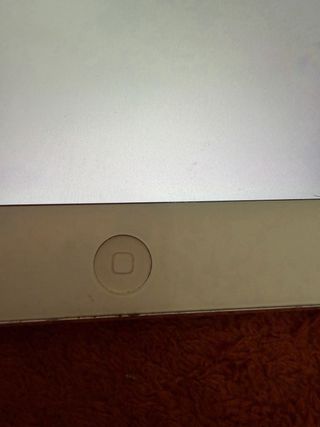 Apple iPad Air Plata/Blanco