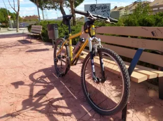 Bicicleta de Montaña Dorada