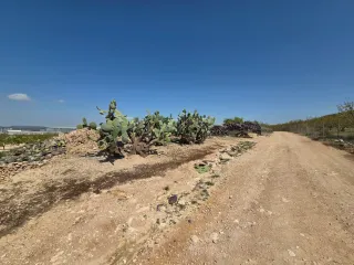 Casa de campo y terreno