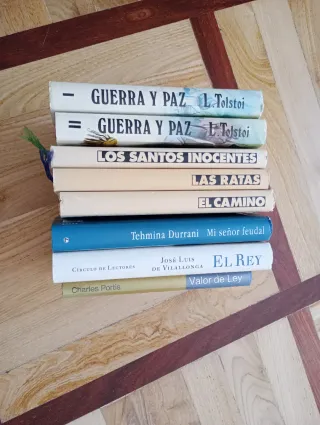 Lote 8 libros - novelas.