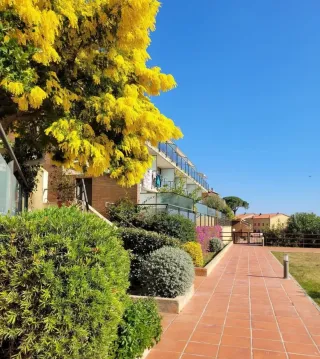 JARDINERO ECONÓMICO