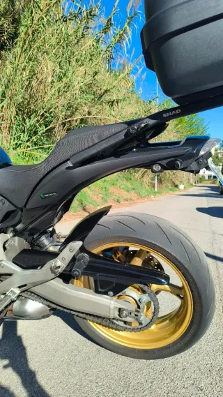 Honda Hornet 600 Naked Manual