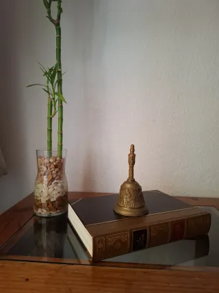 Campana de bronce vintage